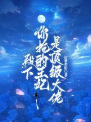 殿下,你抢的王妃是顶级大佬 殿下,你抢的王妃是顶级大佬